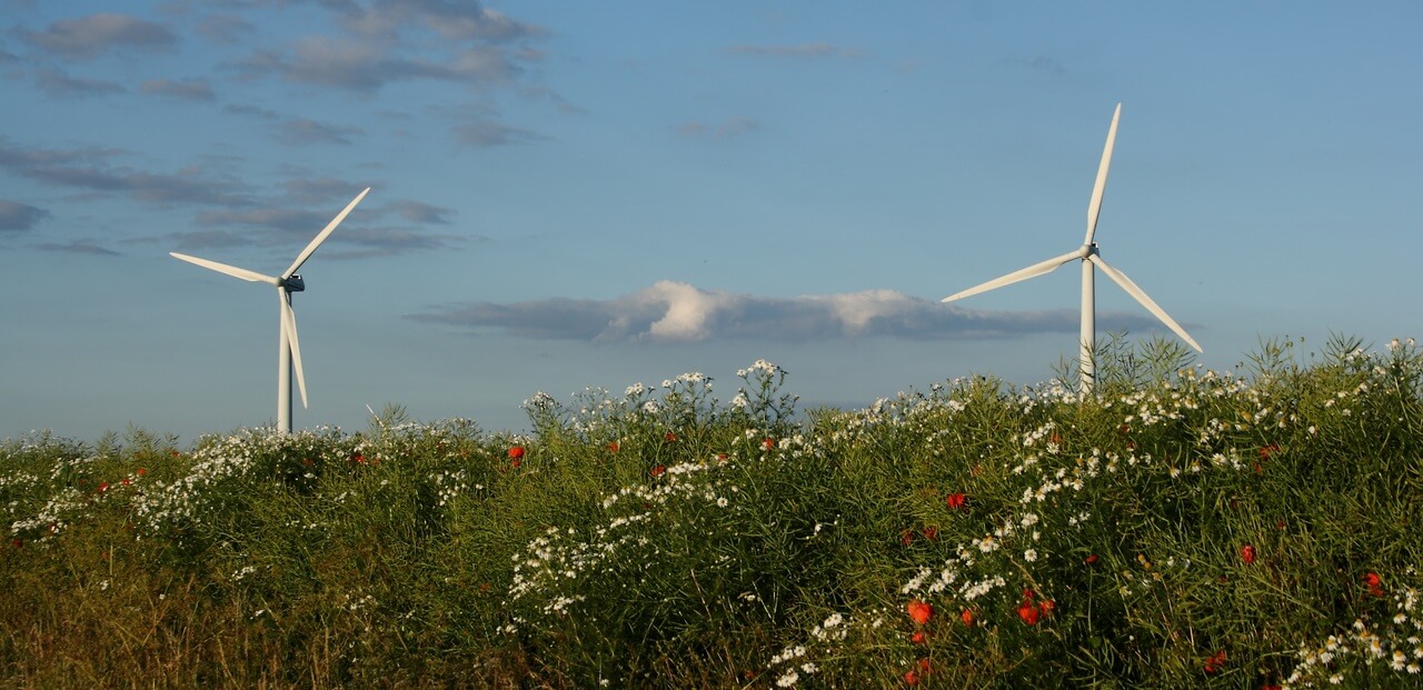 Globalt klima– hvordan opretholdes det i Danmark?